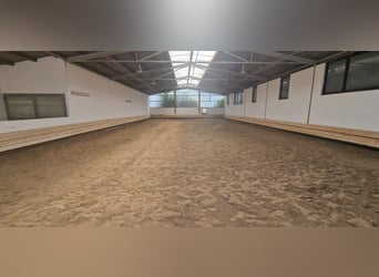 RESERVIERT - Professionelle Reitanlage für den großen Sport Rhein-Neckar-Metropolregion V1757