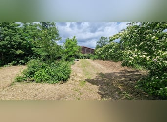 RESERVIERT - Professionelle Reitanlage für den großen Sport Rhein-Neckar-Metropolregion V1757