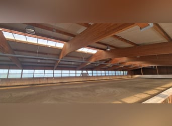 RESERVIERT - Professionelle Reitanlage für den großen Sport Rhein-Neckar-Metropolregion V1757