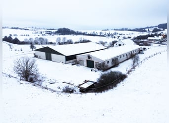 RESERVIERT: Reitanlage mit Reiterstube – Alleinlage inmitten Südthüringer Natur + perfekte Anbindung