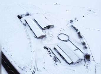 RESERVIERT: Reitanlage mit Reiterstube – Alleinlage inmitten Südthüringer Natur + perfekte Anbindung