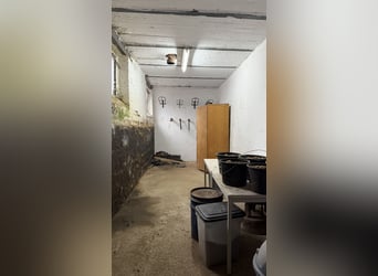 Resthof mit Reithalle, Stallanlagen und weitläufigen Pachtflächen in Linnich