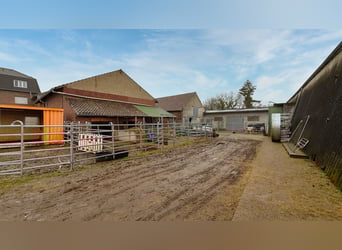 Resthof mit Reithalle, Stallanlagen und weitläufigen Pachtflächen