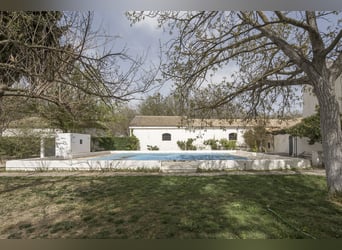 Rustic Property Ideal For Stud Farm For Sale.