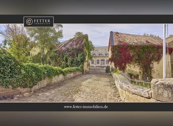 Schloss zu verkaufen in Rheinhessen mit eigener Reitanlage und Event-Location!
