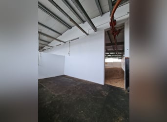 Schönes Anwesen, als Reitanlage oder Gewebeimmobilie, in besonders guter Lage zu verkaufen.