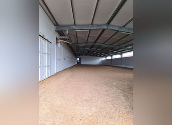 Schönes Anwesen, als Reitanlage oder Gewebeimmobilie, in besonders guter Lage zu verkaufen.