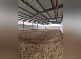 Schönes Anwesen, als Reitanlage oder Gewebeimmobilie, in besonders guter Lage zu verkaufen.