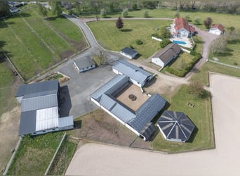 Springfield Farm – Eine exklusive Liegenschaft mit internationalem Potenzial, 8 ha