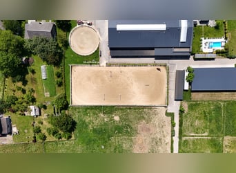 Stadnina koni z dusza i możliwościami inwestycyjnymi