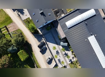 Stadnina koni z dusza i możliwościami inwestycyjnymi