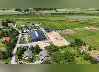 Stadnina koni z dusza i możliwościami inwestycyjnymi