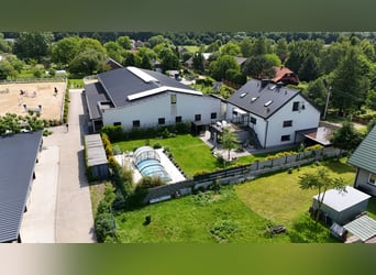 Stadnina koni z dusza i możliwościami inwestycyjnymi