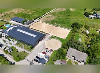 Stadnina koni z dusza i możliwościami inwestycyjnymi