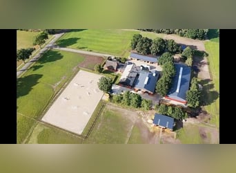 Stalltrakt zu verpachten in Herzlake Emsland