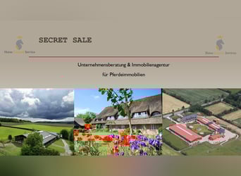 Traumhafte große Reitanlage in Panorama-Lage zwischen Trier und Luxemburg