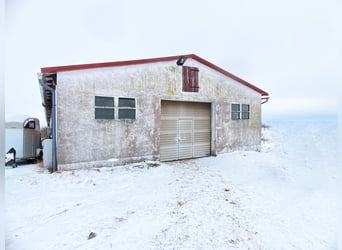 Traumhafte Reitanlage mit Reiterstube – Alleinlage inmitten Südthüringer Natur + perfekte Anbindung