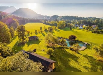 Traumhaftes Landgut in Südkärnten mit außergewöhnlichem Entwicklungspotenzial