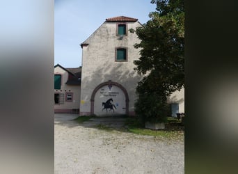 Vergabe der Reitsportanlage Monaise im Erbbaurecht