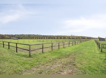 VERKAUFT: Komplette Reitanlage mit Landhaus nähe Deutsche Grenze in NL.