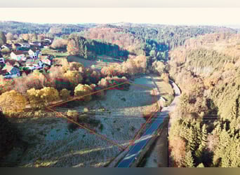 Vielseitiges Pferde- und Wohnensemble mit Ausbaupotenzial - Ideal für Tierklinik, Reitanlage uvm.