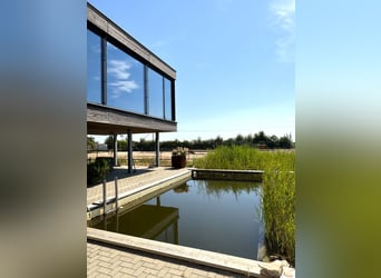 Villa in moderner Architektursprache mit 60m Reithalle & innovativem Haltungskonzept V14935