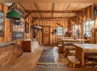 Welcome to this unique and thoughtfully designed equestrian property in Sweden 7,2 ha