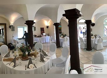 Wunderschönes  Anwesen mit Reithalle und Event-Location Umfeld Mainz