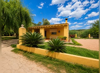 Wunderschönes Reitzentrum in Valencia (Costa Blanca)