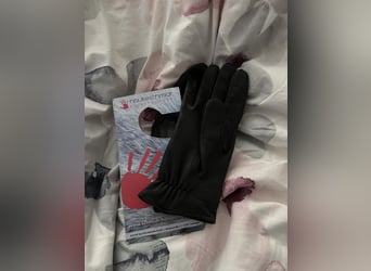 Hauke Schmidt Handschuhe 6,5