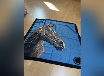 Tuch Schal - Pferde Motiv - in Geschenkbox - NEU
