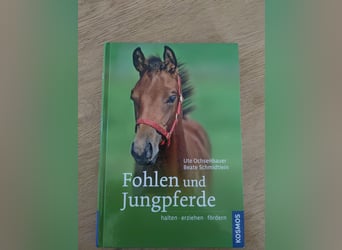 Buch Fohlen und Jungpferde