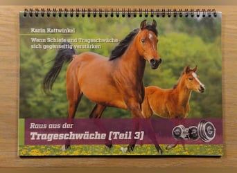 Karin Kattwinkel Raus aus der Trageschwäche Hybrid-Wandkalender Teil 3
