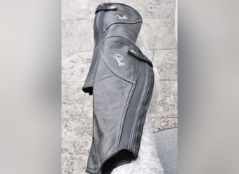 Chaps Evolution Größe L