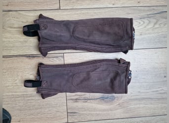 Steeds Chaps M braun