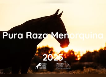 Menorquin-Fotokalender 2025