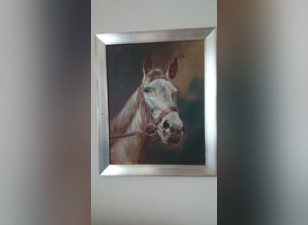 Ölgemälde Pferdekopf 