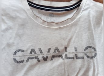 Cavallo t-shirt 