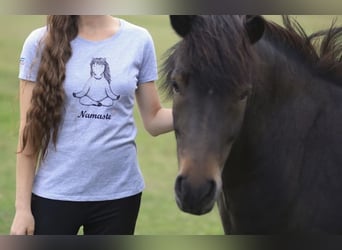 T-Shirt Namaste aus 100% Bio-Baumwolle