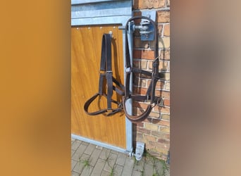 2x Qualitätshalfter vom Sattler Lederhalfter WB Halfter