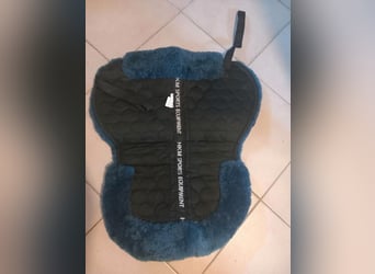 2x Qualitätshalfter vom Sattler Lederhalfter WB Halfter