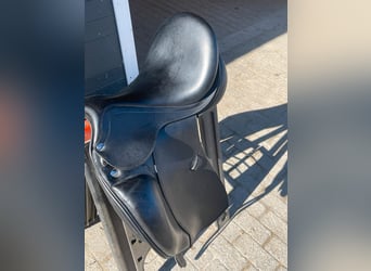 Bemer Horse set