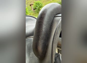 Deuber Quantum mit Dressurblatt (verstellbare Kammer)
