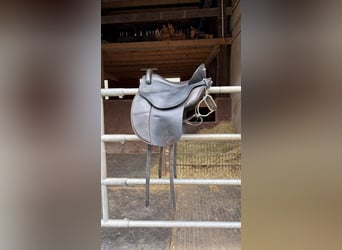 Deuber Quantum mit Dressurblatt (verstellbare Kammer)