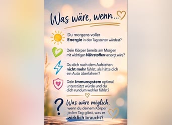 Dressur Schabracke Eskadron