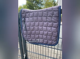 Dressurschabracke neu