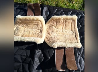 Equestrian Stockholm Dressurgamaschen