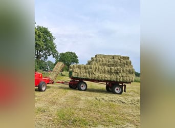Heu HD Ballen 1.Schnitt 2026 Top Qualität Pferde Schafe Ziege Kuh