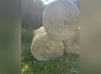Heu Rundballen