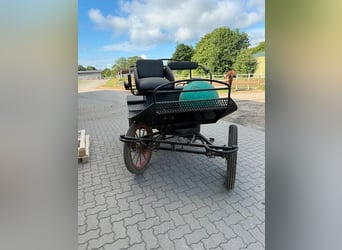 Heubedampfer Nuveq Expert Pro